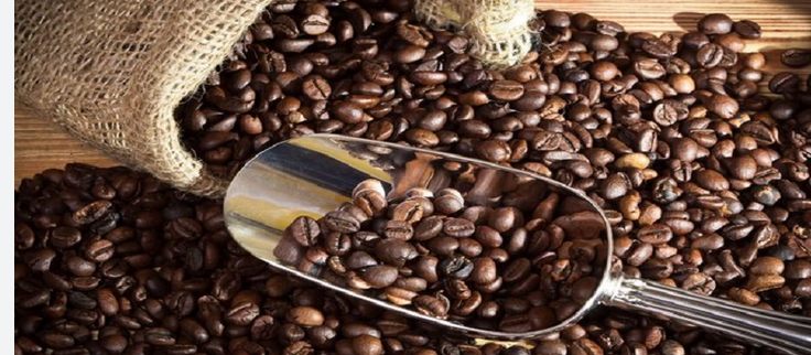 Enjoy premium Crafted Aroma of Our Finest Collection Of premium Coffee