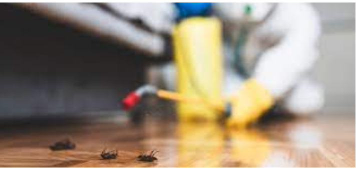 Your Pest Control Partners: Exterminators
